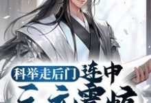 完结版《科举走后门,连中三元震惊无数学子》章节目录在线阅读-侠客文学