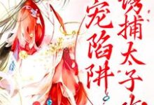 哪里可以免费读到姜怜衣沈临魏洐之的完整故事？寻找甜宠陷阱：诱捕太子攻略-侠客文学