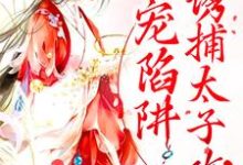 甜宠陷阱：诱捕太子攻略最新章节，甜宠陷阱：诱捕太子攻略免费阅读-侠客文学