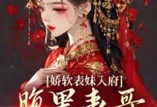 在线寻找沈云婉魏寒洲的小说，娇软表妹入府：腹黑表哥沦陷了免费阅读-侠客文学