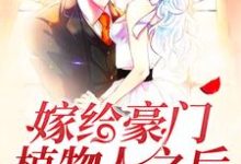 嫁给豪门植物人之后小说全文哪里可以免费看?-侠客文学
