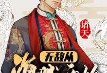 小说《诸天:无敌从海贼开始》章节免费阅读-侠客文学