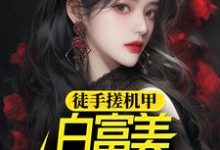 徐帆王艺雪为主角的小说好看吗？求徒手搓机甲，白富美女神惊呆了免费试读-侠客文学