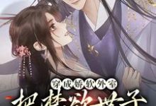 寻找穿成娇软外室，把禁欲世子撩疯了小说的最新更新章节-侠客文学