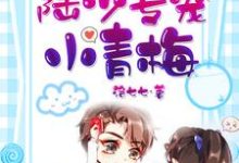 陆少专宠小青梅小说完结了吗?在哪里可以免费读到?-侠客文学