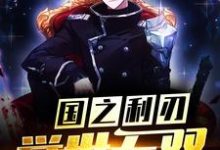 完结版《国之利刃：举世无双》在线免费阅读-侠客文学