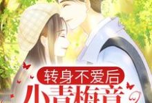 转身不爱后，小青梅竟当众表白小说的免费阅读版本在哪里可以找到？-侠客文学
