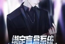 绑定盲盒系统，穷屌丝也能变首富苏辰林可儿，绑定盲盒系统，穷屌丝也能变首富最新章节-侠客文学