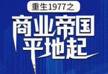 完结版《重生1977之商业帝国平地起》章节阅读-侠客文学