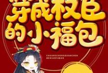想读宁昭昭克夫昭昭的故事,哪里可以免费找到穿成权臣的小福包?-侠客文学