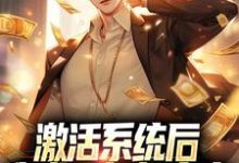 《激活系统后，我成了超级富豪》小说主角秦风章节章节免费在线阅读-侠客文学