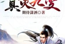 小说《真灵九变》章节阅读-侠客文学