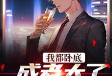 完结版《我都卧底成老大了,还不收网?》章节阅读-侠客文学