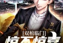 双棺临门？惊不惊喜意不意外小说全文阅读需要付费吗？寻找免费资源-侠客文学