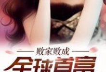 免费看败家败成全球首富小说的网站有哪些？-侠客文学