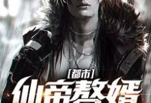 都市仙帝赘婿小说的免费阅读版本在哪里可以找到？-侠客文学