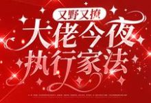 又野又撩,大佬今夜执行家法小说最新章节在哪里可以读到?-侠客文学