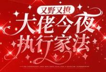 主人公叫叶初初陆砚屿的小说又野又撩,大佬今夜执行家法在线阅读章节-侠客文学