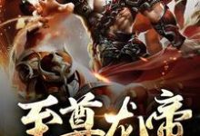 主角叫林霄的小说在哪阅读-侠客文学