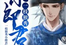 小说《一枝独秀小郎君》在线章节阅读-侠客文学