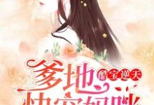 免费在线阅读酷宝逆天：爹地，快宠妈咪小说的正规网站有哪些？-侠客文学