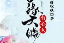 良缘天赐有心人免费阅读，良缘天赐有心人[标签:作者]-侠客文学