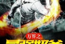 小说《万界之最强奶爸》章节免费阅读-侠客文学