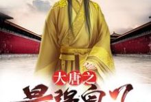 哪里能找到大唐之最强皇子小说的最新更新和免费章节？-侠客文学