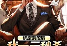 绑定系统后，我一元秒杀一辆奔驰小说最新更新在哪里？免费在线看-侠客文学