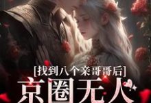 叶小汐为主角的小说找到八个亲哥哥后,京圈无人敢惹她在线阅读-侠客文学