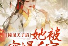 撞见天子后，她被宠爆后宫这本小说怎么样？免费在线阅读试试-侠客文学