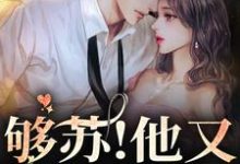 够苏！他又欲又野余伊商盛，够苏！他又欲又野章节在线阅读-侠客文学