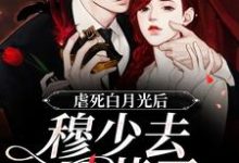 《虐死白月光后，穆少去买药了》全集免费在线阅读（鸥小檬穆北森）-侠客文学