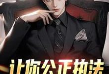 完结版《让你公正执法，没让你乱搞骚操作》免费阅读-侠客文学