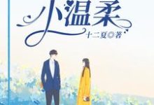 完结版《他的小温柔》在线免费阅读-侠客文学