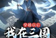 穿越以后，我在三国呼风唤雨免费阅读，穿越以后，我在三国呼风唤雨张成贾诩-侠客文学