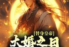 已完结小说《替身皇帝，大婚之日假戏真做了》最新章节-侠客文学