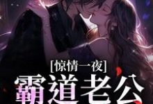 在线寻找惊情一夜：霸道老公的逃妻小说的无删减版本-侠客文学