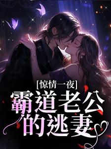 在线寻找惊情一夜：霸道老公的逃妻小说的无删减版本