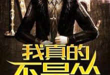 李从心张蕾的故事在哪本书里？免费阅读我真的不是怂-侠客文学