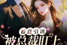 主角苏清瑶傅璟琛小说蓄意引诱！被总裁盯上的日日夜夜免费阅读-侠客文学