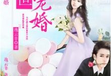 《盛世宠婚》小说章节在线试读,《盛世宠婚》最新章节目录-侠客文学