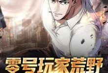 零号玩家荒野求生开挂记小说，零号玩家荒野求生开挂记章节在线阅读-侠客文学