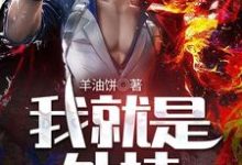 已完结小说《我就是外挂》章节在线阅读-侠客文学