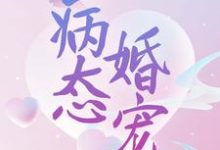 病态婚宠免费阅读,病态婚宠 宋沐笙顾崇锦-侠客文学