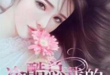 冷酷总裁的小女仆小说，冷酷总裁的小女仆免费阅读-侠客文学