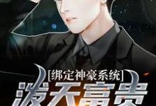 绑定神豪系统，泼天富贵我接住了曹阳宋清妍小说免费阅读-侠客文学