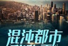 混沌都市我称王小说，混沌都市我称王陈东林雪儿-侠客文学