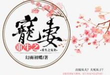 免费在线阅读重生之宠妻小说的正规网站有哪些？-侠客文学