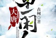 在线寻找大唐第一闲人小说的无删减版本-侠客文学